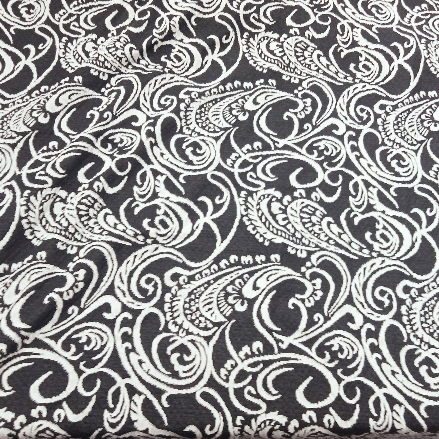 Jacquard design fabric - black/ivory sold by 1/2mtr